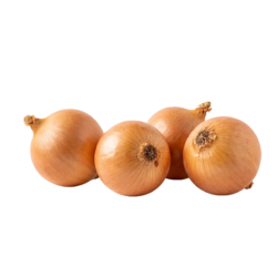Kuru Soğan