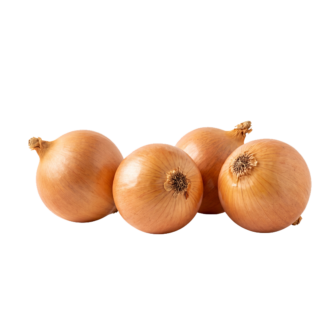 Kuru Soğan