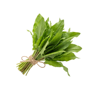 Kuzukulağı