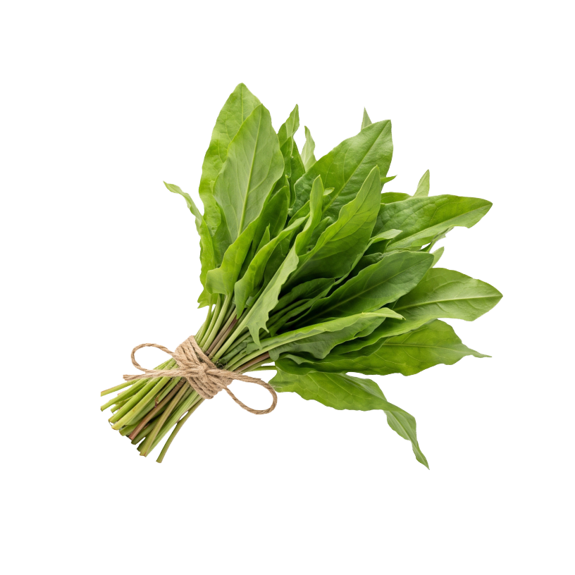 Kuzukulağı